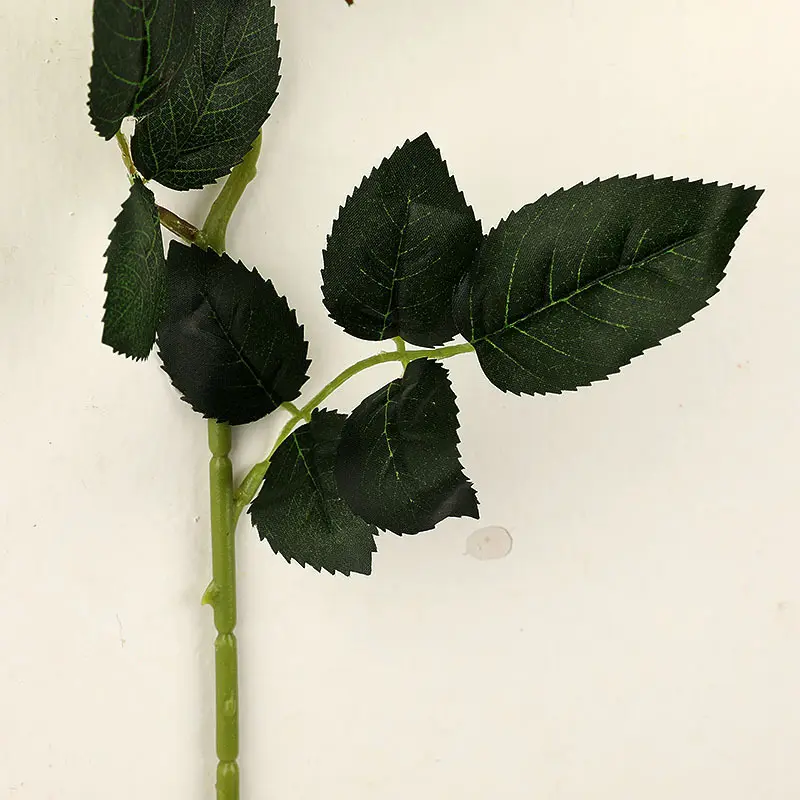 Gift Rose flower