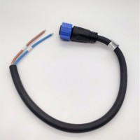 IP67 protección a prueba de agua empuje autoblocante M19 serie 2pin 20A conector hembra conjunto de cable 2way 2, 5 mm2 cable de goma