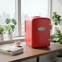 Mini-réfrigérateur portable 4L pour voiture, maison, salon de beauté, usage commercial, compact