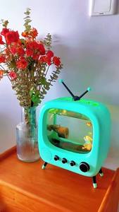 <span class=keywords><strong>Mini</strong></span> aquarium moderne à piles USB, en plastique écologique, avec éclairage, pour la maison ou le bureau, pour <span class=keywords><strong>chats</strong></span> - Product Image 6