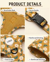 Ensemble de harnais pour chien anti-traction personnalisé, collier rembourré doux, laisse et harnais de qualité supérieure pour chien, distributeur de sacs à déjections canines, accessoires pour animaux de compagnie