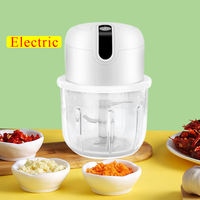 Hachoir à légumes électrique, mini hachoir à ail, robot culinaire 250 ml, rechargeable par USB, hachoir portable pour la cuisine, CE RoHS