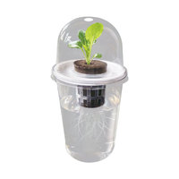 Panier de transplantation en plastique pour semis hydroponiques, système de racines, graines, succulentes, patates douces