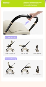 Carriola Plegable de Aleación de Aluminio con Certificación EN1888 Weilebao, Carriola 3 en 1 con Ruedas Giratorias de 360°, Carriola de Lujo para Bebés de 0 a 3 Años - Product Image 6