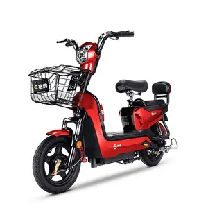 SAIGE E Bike With EEC For Electric Adult Motorcycle
