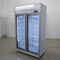 Réfrigérateur commercial vertical à température unique pour boissons, contrôle mécanique de la température, refroidissement par air, étagères réglables