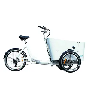 Electric Family Cargo Tricycle For Transport With Front Cargo Box Shopping Bike