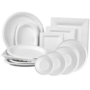 Biodegradable Snacks Sugar Steak Cane Bagasse Disposable Fast Food Plates round square oval rectangular