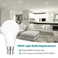 Ampoules LED SMD de haute qualité, type bougie A19/A60/A65, culot E27/B22, 3W-24W, alimentation AC/DC, pour usage résidentiel