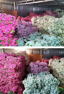 Fiore di ciliegio fiori di ciliegio di seta rami di fiori di ciliegio albero <span class=keywords><strong>Sakura</strong></span> 110CM rosa bianco fiore di ciliegio per matrimonio centrotavola - Product Image 6