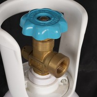Bouteille d'oxygène médicale en acier de 2L, 40L, 10 litres, portable, avec valve et poignée en plastique, pression de 150 bars