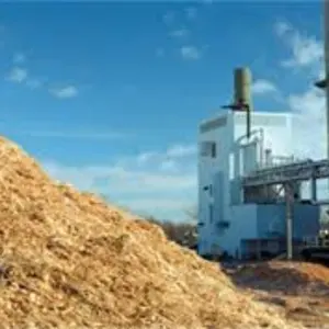 Woody Renewable Biomass and Coal Fired Combined Power Generation Plant