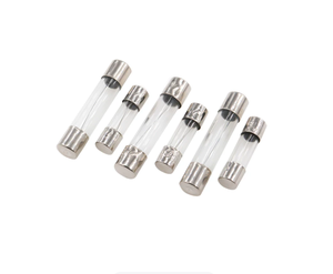 ฟิวส์แก้วแบบเป่าเร็ว 5x20 มม. 250V 0.1A-30A (1A 2A 3A 4A 5A 6A) ชุดฟิวส์หลอดแก้วแบบคละขนาด - Product Image 2
