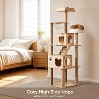 Arbre à chat stable en bois tout-en-un avec capsule spatiale, griffoir et accessoires de jeu pour animaux de compagnie