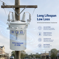 Transformateur monté sur poteau de distribution électrique de réseau périurbain à haute stabilité de protection contre les surcharges 63 kVA 20 kV/400 V IEC 60076