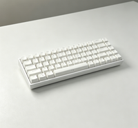 Keyboard Gaming Mini Portabel 68 Tombol Berkabel BT RGB Keyboard Gaming Mekanik untuk Tablet Laptop PC Komputer