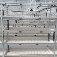 Système de culture hydroponique mobile à plusieurs niveaux, table roulante en ABS pour semis hydroponiques