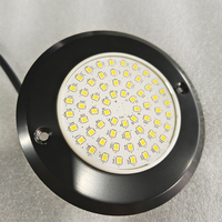 Yaokingled YK-SP615M Luz LED Sumergible para Piscina, de Acero Inoxidable, Montaje en Pared, Tamaño Pequeño, 12V 6W IP68, Blanca, 63 LEDs SMD