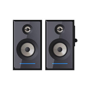 Altavoces de Estantería con Monitor Bluetooth Activo Estéreo 2.0 de 20 Vatios RMS con Carcasa de Madera, LED y Entrada de Audio Auxiliar y USB - Product Image 5