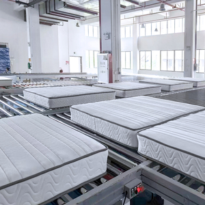 Barato blanco fino 5/6/7 pulgadas Twin Single Size Coir Spring Coil colchón - Product Image 5