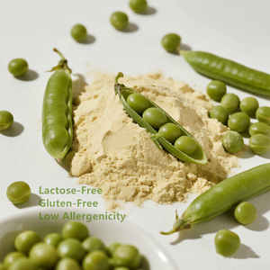 天然有機エンドウ豆タンパク質非GMOエンドウ豆タンパク質粉末80% エンドウ豆タンパク質 - Product Image 3