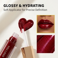Gloss à lèvres vegan OEM à marque privée, longue tenue, naturel, scintillant, imperméable, créez votre propre logo, gloss à lèvres liquide mat