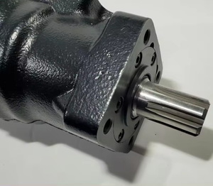 Moteur hydraulique en fonte de la série OMRW OMP OMR 250 315 400 500 TF0360EW260LAAY TF0170ZS06EEEC, pièce de rechange pour machines - Product Image 5