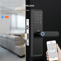 Serrure de porte intelligente numérique TYSH Ai Ttlock, poignée de porte électrique, serrure électrique bleue