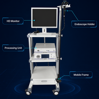 Système d'endoscopie vétérinaire modèle D en acier inoxydable de classe II pour gastroscopie animale, diagnostic des petits animaux, fourni directement par l'usine