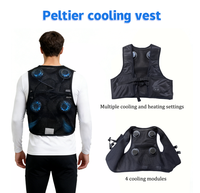 Chaleco de Trabajo Refrigerante con Tecnología de Semiconductores, Transpirable, No Tóxico, Resistente a Altas Temperaturas, de Poliéster, Certificado CE/EU, Unisex