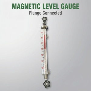 Indicatore di Livello Magnetico in Acciaio Inox con Flangia, Strumento di Misurazione del Livello - Product Image 2