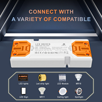 Fuente de alimentación Led de fábrica 15W 30W Controlador de potencia LED Delgado Transformadores Led 12V 24V Controlador Led de corriente constante