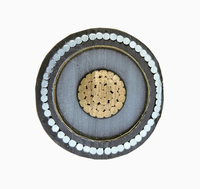 Câble unipolaire blindé en cuivre avec gaine en PVC, isolation XLPE, basse tension, pour projets de centrales électriques et utilisation en construction