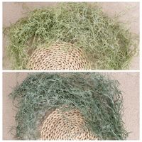 Dekorasi Dinding Bunga Mawar Rumput Rotan Plastik Buatan untuk Rumah dan Pernikahan, Teknik Injeksi Semi-Manual Model XRYJ-MW53464 INS