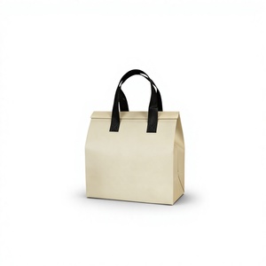 Sac à dos isotherme pour insuline, sac diabétique isolé, blocs réfrigérants, 30L, imperméable, jetable, non-tissé, portable pour les voyages et la livraison de repas - Product Image 1