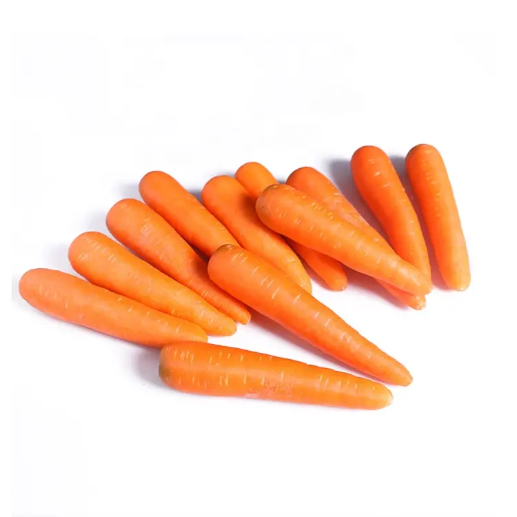 Carota rosso fresco carota organico nuovo raccolto di alta qualità di esportazione fresco carote del bambino del commercio all'ingrosso Della Cina