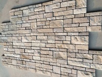 Carreaux de mur extérieur en pierre calcaire jaune, finition brute, durables
