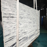 Choix Classique |   Marbre blanc élégant, idéal pour les appartements haut de gamme, les seuils et les décorations murales