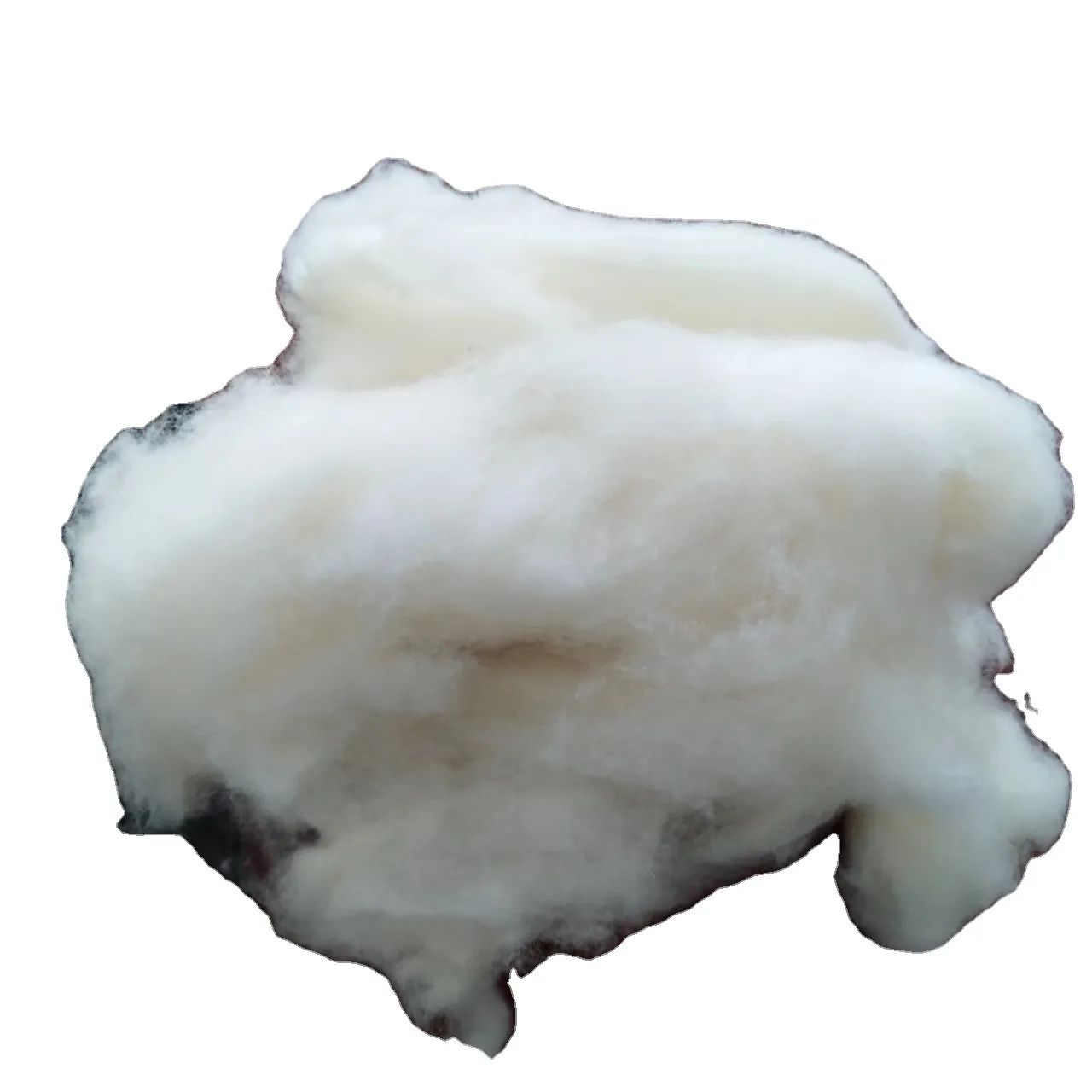 Fiber 100 Sheep Wool Waste for Carpet and Fertilizer Natural Free Sample Cheap Carded Sheep Wool DHL White FEDEX Time Mic TNT