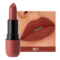 Rouge à lèvres mat velours, longue tenue, waterproof, anti-transfert, nude et brun, personnalisable avec votre logo, maquillage cosmétique pour les lèvres