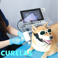 Équipement de thérapie laser à diode de classe 4 avec lunettes de sécurité pour la physiothérapie humaine, la clinique vétérinaire, la simulation de traitement