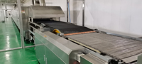 Four de cuisson tunnel entièrement automatique pour la production de snacks pour animaux, biscuits et gâteaux moelleux - Ligne de production de biscuits