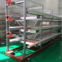 Cage à poulets galvanisée à chaud avec système de collecte automatique des œufs pour l'élevage commercial de poules pondeuses