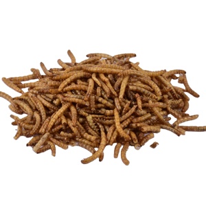 100% pur naturel séché vers de farine Yee poisson nourriture en vrac en gros pour oiseaux poisson chevaux cochons chiens petit aliment pour animaux de compagnie - Product Image 1