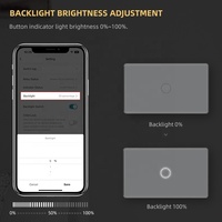 Saklar Sentuh Lampu Rumah Pintar Standar AS 110V 220V 2 Gang Zigbee 3.0 Kontrol 10A Smart Life