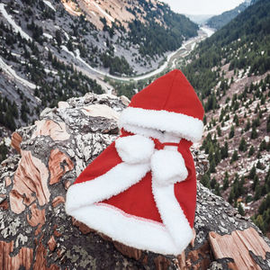 पालतू वस्त्र कुत्ते बिल्ली परिधान सर्दियों गर्म कोट बारिश जैकेट पोशाक पोशाक पोशाक पोशाक पोशाक पोशाक - Product Image 6