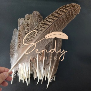 Plumas de pavo real naturales 25-30-35cm, plumas de alas moteadas de pavo real para tocado de baile, tocado, mochila, accesorio de disfraz - Product Image 3