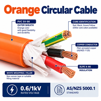 Câble Circulaire Orange 0.6/1kV, Conducteur en Cuivre, Isolation XLPE, Gaine PVC 5V-90, Câble d'Alimentation Basse Tension pour Câblage de Bâtiment
