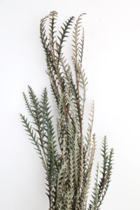 Usine directe cheveux vraie fleur Production maison fleur Arrangement main cadeau fleur paquet épée éternelle dent feuille - Product Image 5