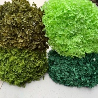 Naturecho Yunnan Getrocknete Blumen Ewig Haltbar mit Glycerin Konserviert Umweltfreundlich Individuelle Farben 50-60CM Tischdekoration für Abschlussfeier